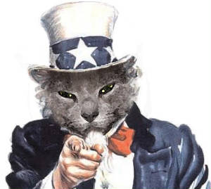 Jan07116174.tmp/UncleSamKitty.JPG