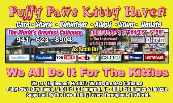 Jan07116174.tmp/forthekitties.JPG