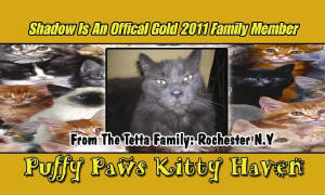 Jan07116174.tmp/ppkhfamilygold.JPG