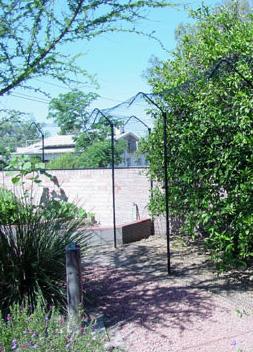 Jan07116174.tmp/PuffFence.JPG