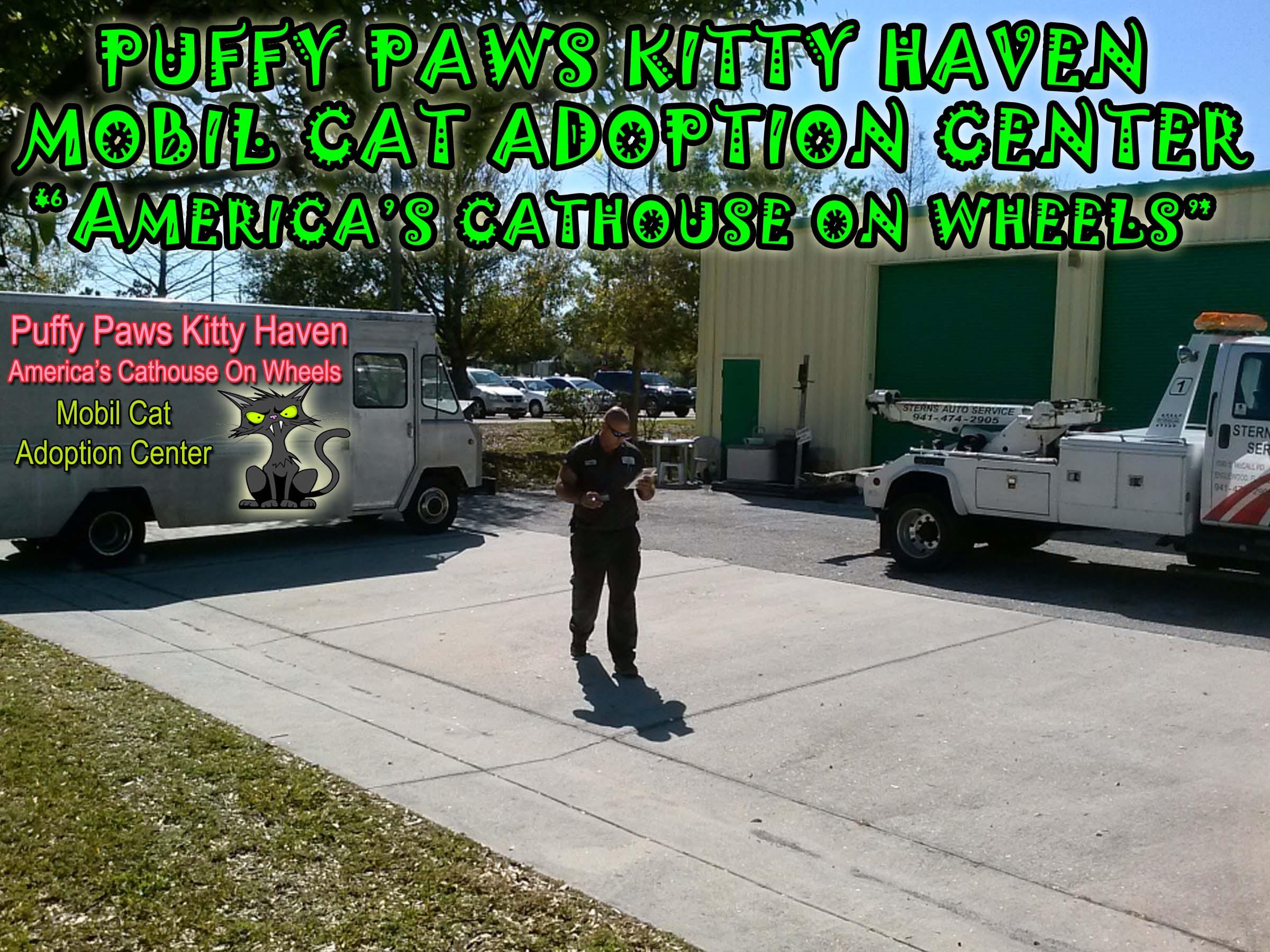 Jan07116174.tmp/cathouseonwheels.jpg