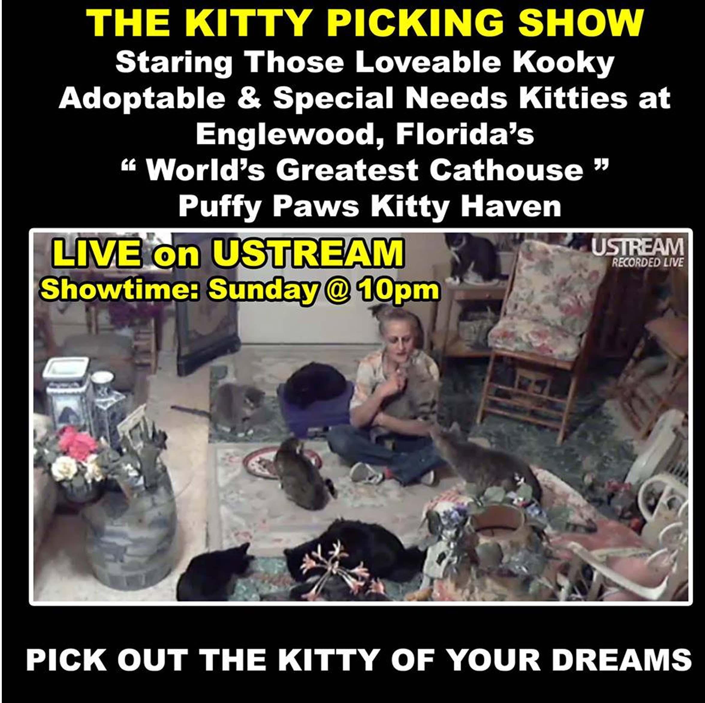 Jan07116174.tmp/kittypicking.jpg