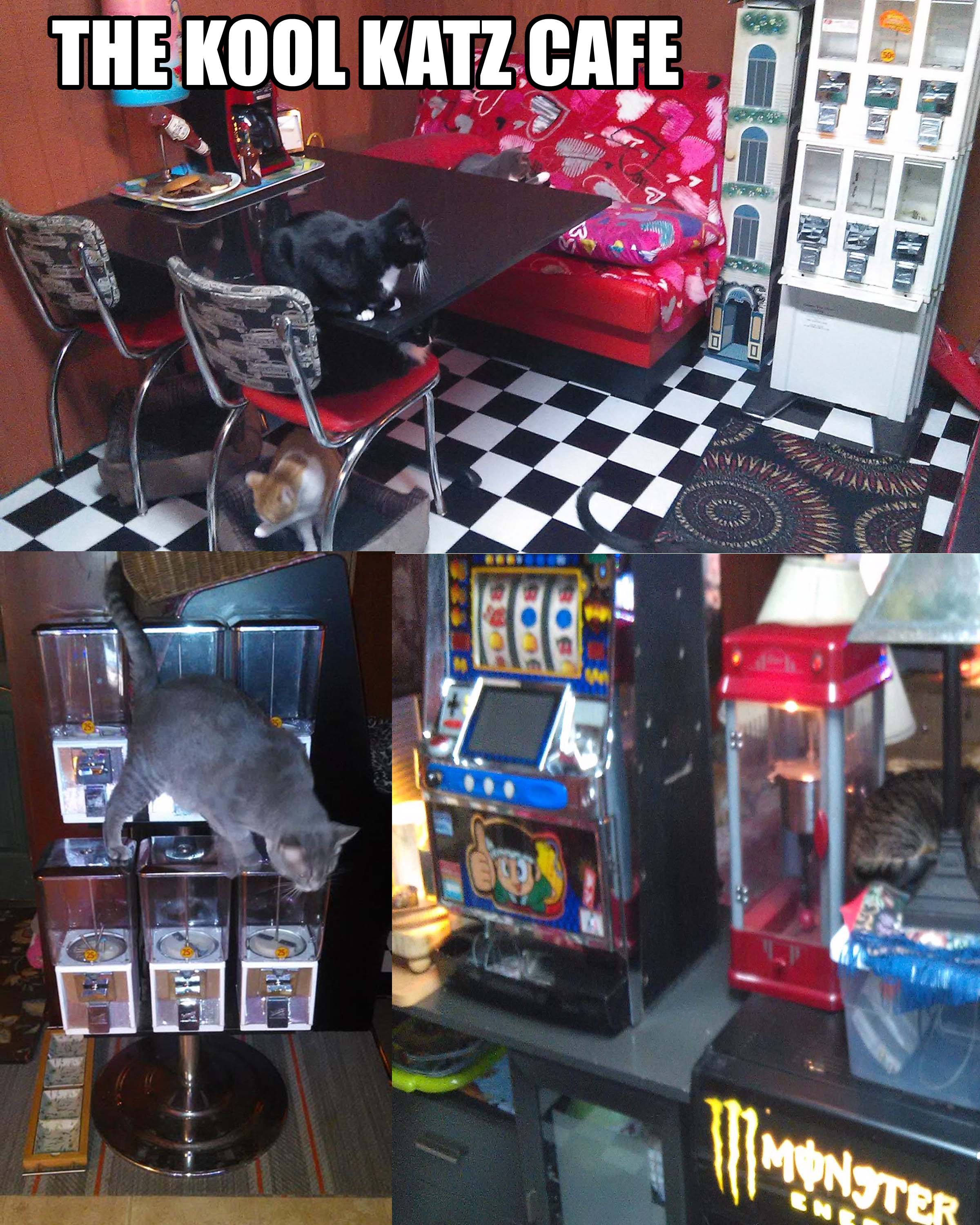 Jan07116174.tmp/koolkatzcafe.jpg