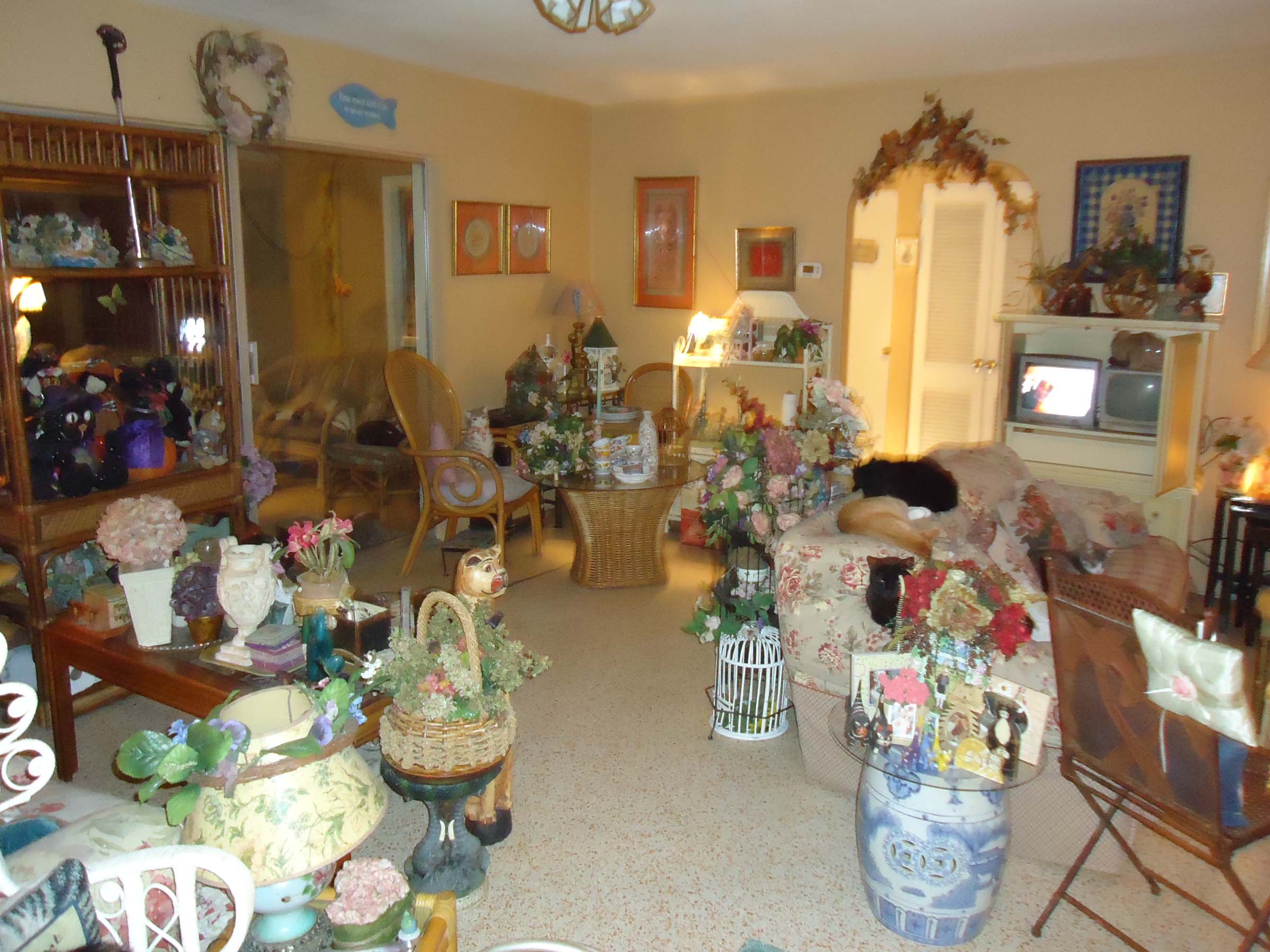 Jan07116174.tmp/livroom.jpg
